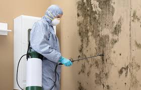 Best Commercial Mold Inspection  in French Island, WI